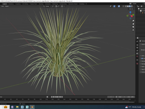 Carex morrowii-sedge 3D Model