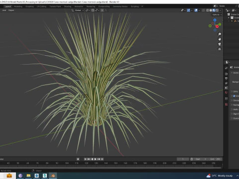 Carex morrowii-sedge 3D Model
