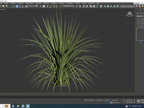 Carex morrowii-sedge 3D Model
