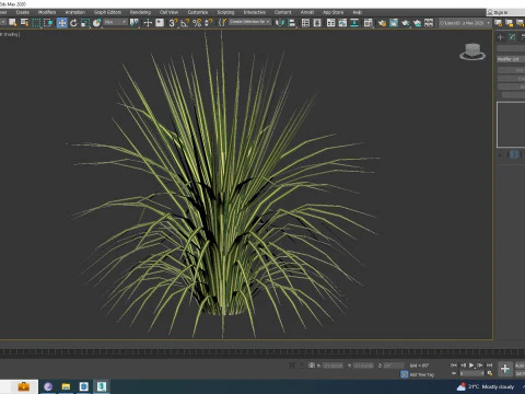 Carex morrowii-sedge 3D Model
