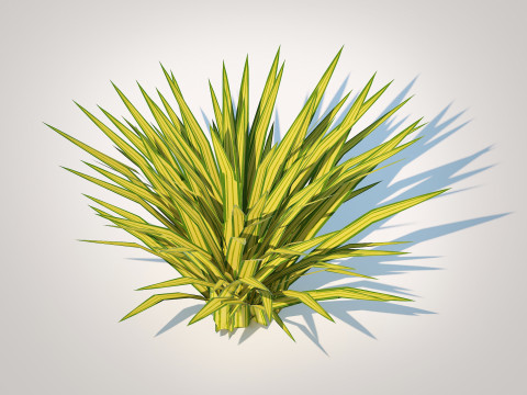 Carex siderosticha Banana Boat 3D Model