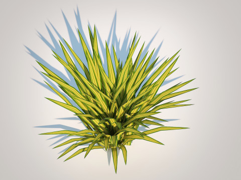 Carex siderosticha Banana Boat Modelo 3D