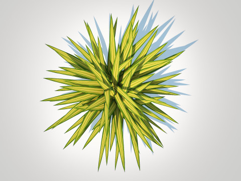 Carex siderosticha Banana Boat Modelo 3D