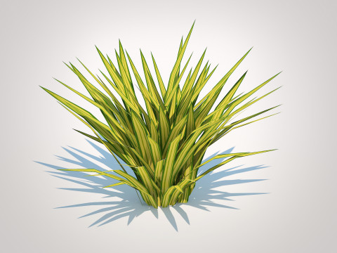 Carex siderosticha Banana Boat Modelo 3D