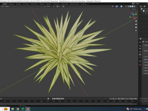Carex siderosticha Banana Boat Modelo 3D