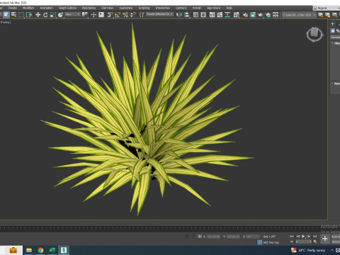 Carex siderosticha Banana Boat Modelo 3D