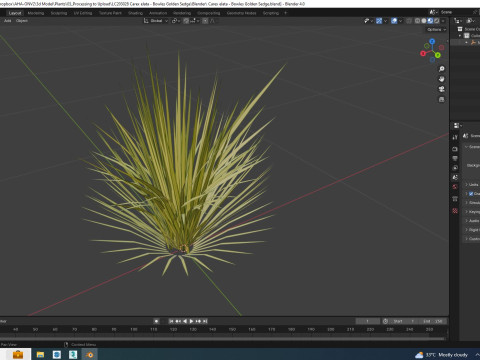 Carex elata - Bowles Golden Sedge 3D 模型