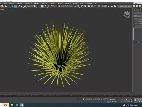 Carex elata - Bowles Golden Sedge 3D 模型