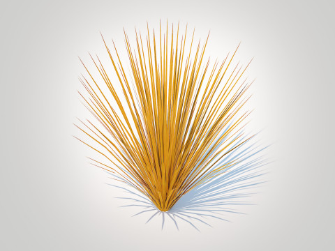 Carex buchananii - Leatherleaf Sedge 3D मॉडल