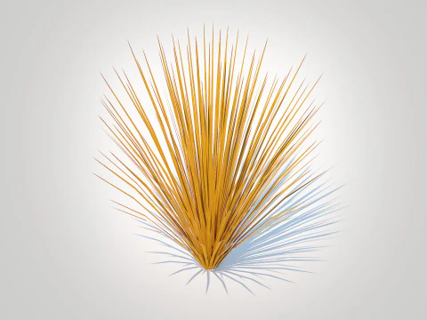 Carex buchananii - Deri Yapraklı Saz 3D Model