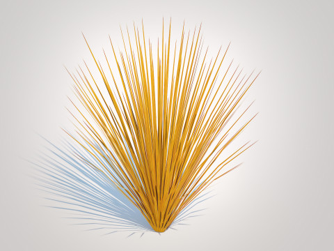 Carex buchananii - Leatherleaf Sedge Modello 3D