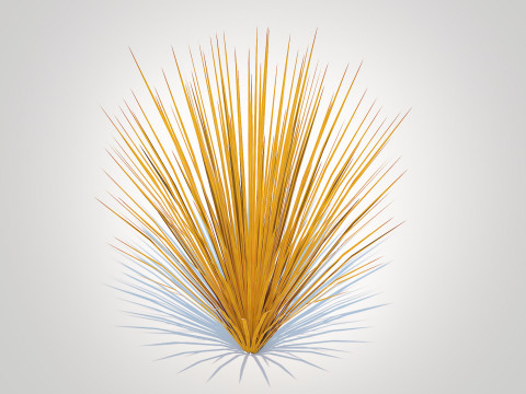 Carex buchananii - Leatherleaf Sedge Modello 3D