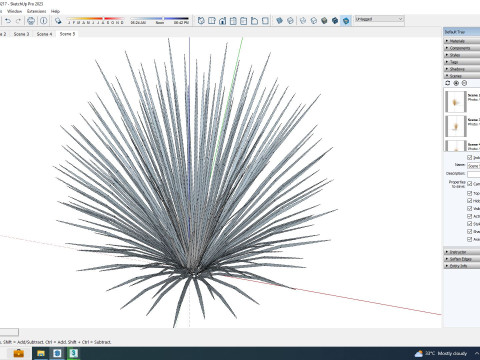 Carex buchananii - Leatherleaf Sedge Modello 3D