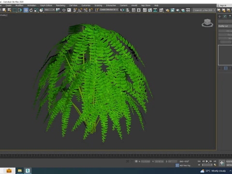 Adiantum pedatum - Maidenhair Fern 3D Model