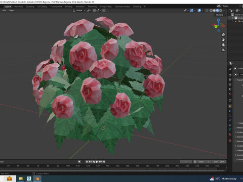 Begonia -Pink 3D 模型