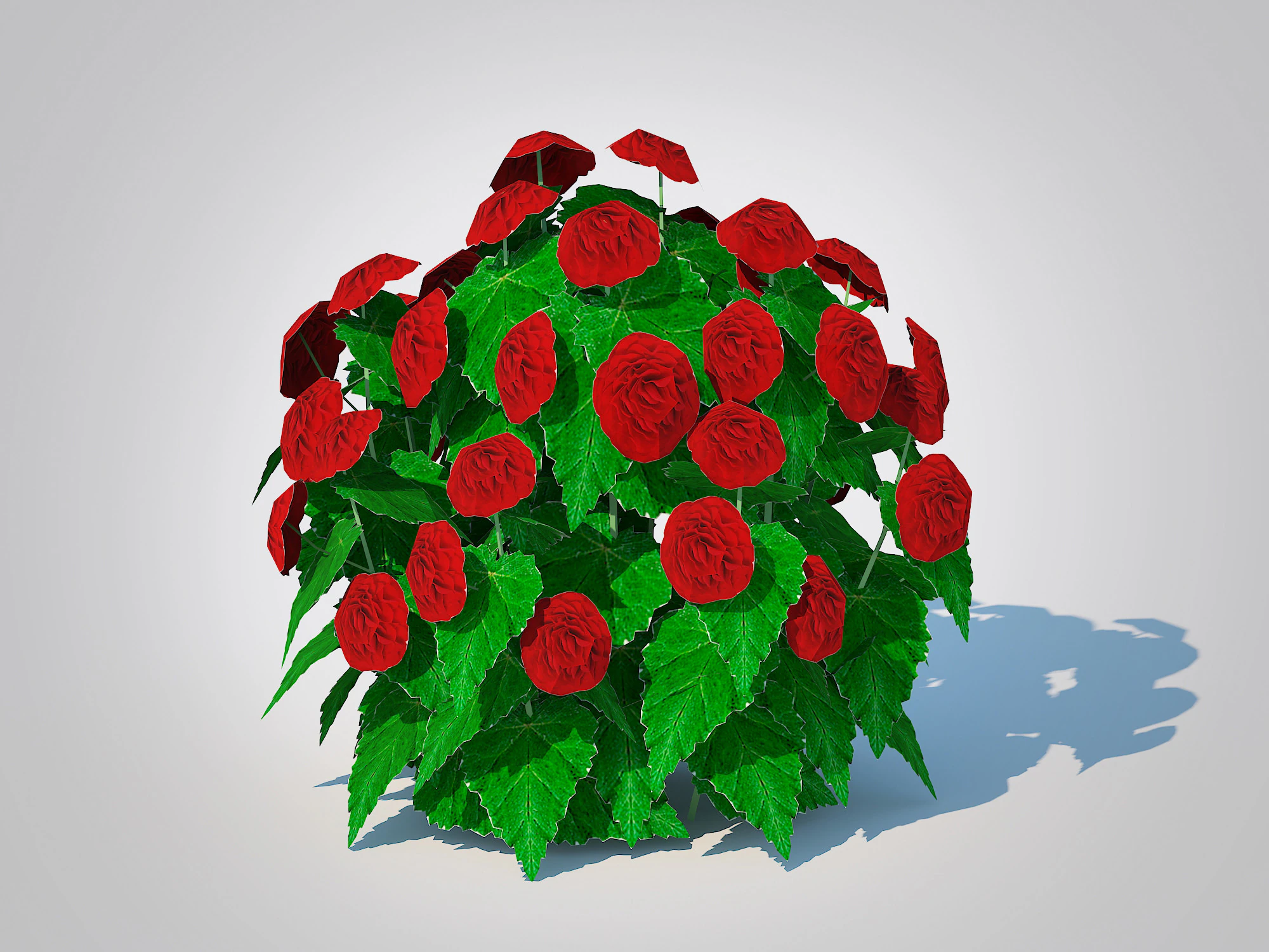 Begonia -Red 3D Model .c4d .max .obj .3ds .fbx .stl .blend 