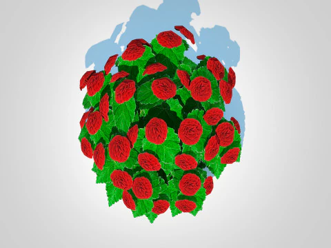 Begonia -Red 3D Model