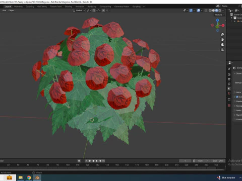 Begonia -Red 3D Model