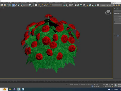 Begonia -Red 3D Model