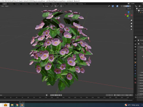 Begonia semperflorens - pink 3D Model