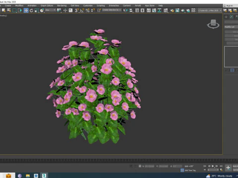Begonia semperflorens - pink 3D Model
