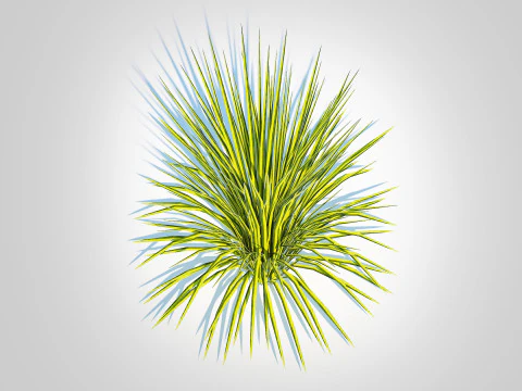 Acorus gramineus Oborozuki - Zoete vlag 3D Model