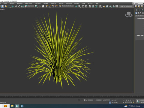 Acorus gramineus Oborozuki - Sweet Flag 3D Model