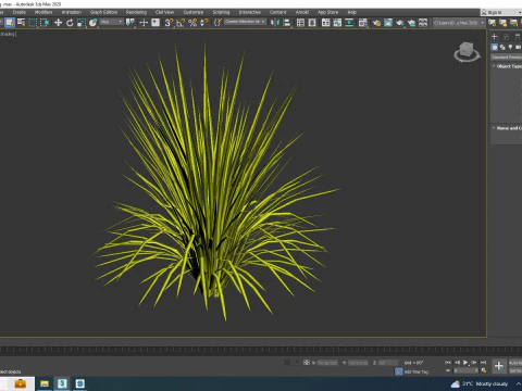 Acorus gramineus Oborozuki - Zoete vlag 3D Model