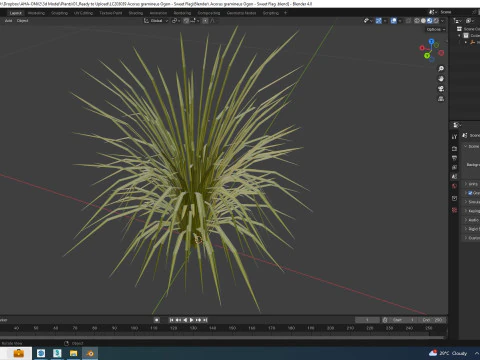 Acorus gramineus Ogon - Sweet Flag 3D Model