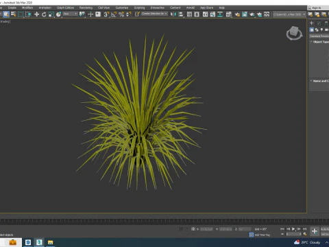 Acorus gramineus Ogon - Sweet Flag 3D Model