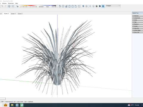 Acorus gramineus Ogon - Sweet Flag Model 3D