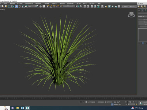 Acorus gramineus variegatus - Sweet Flag Model 3D