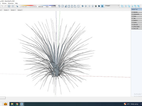 Acorus gramineus variegatus - Sweet Flag Model 3D