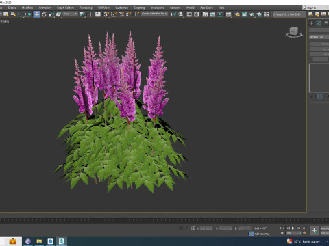 Astilbe jap -Koblenz 3D Model