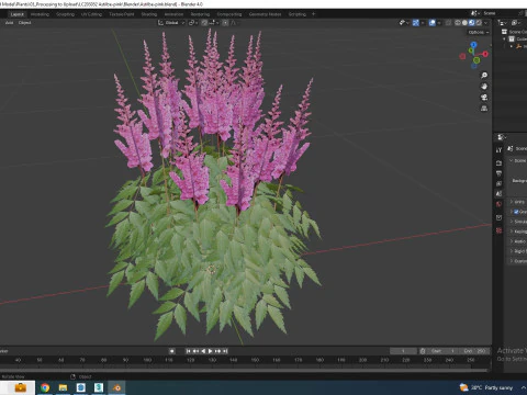 Astilbe-pink 3D Model