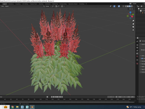 Astilbe-red 3D मॉडल