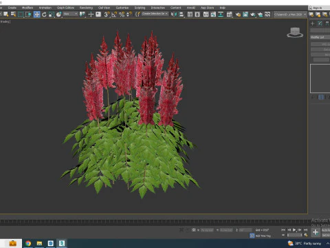 Astilbe-red 3D Model