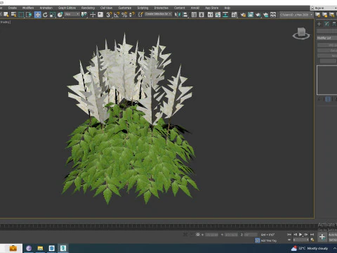 Astilbe-white 3D Model