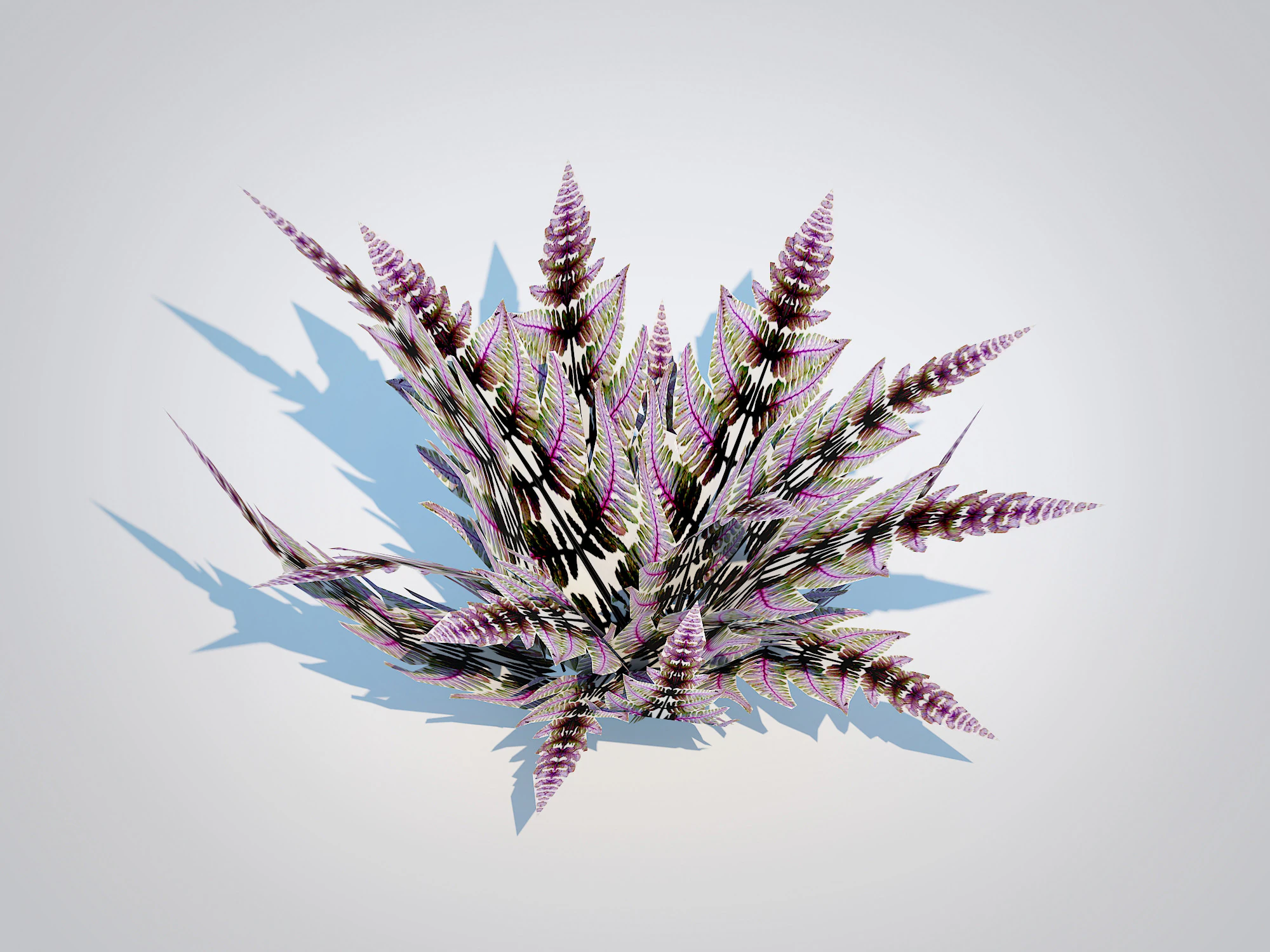 Athyrium niponicum - painted fern 3D Model .c4d .max .obj .3ds .fbx .stl .blend 