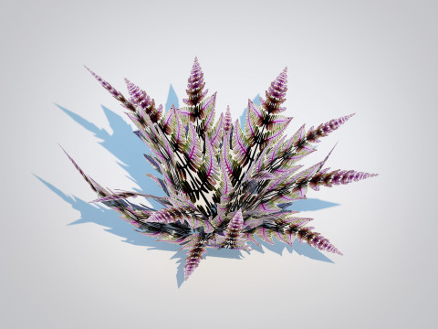 Athyrium niponicum - painted fern 3D Model