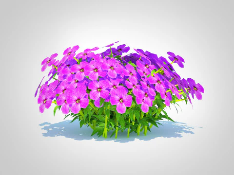 Aubrieta - Rock Cress 3D Model