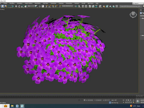 Aubrieta - Rock Cress 3D Model