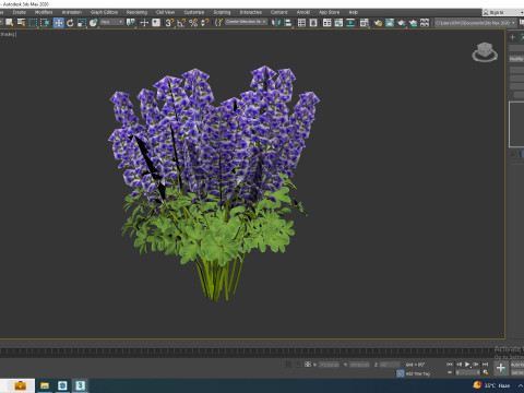 Baptisia australis False Indigo Blue 3D Model