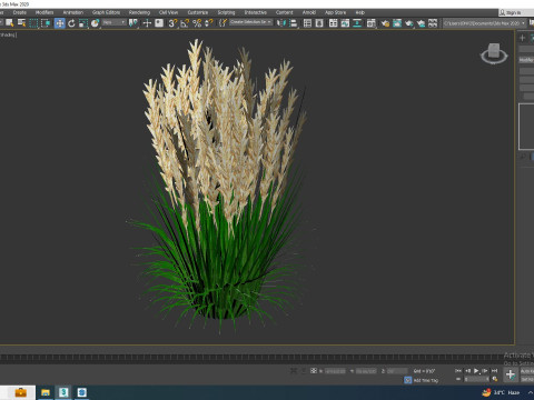 Calamagrostis-reed grass Modèle 3D