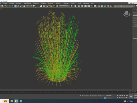 Calamagrostis-reed grass Modèle 3D