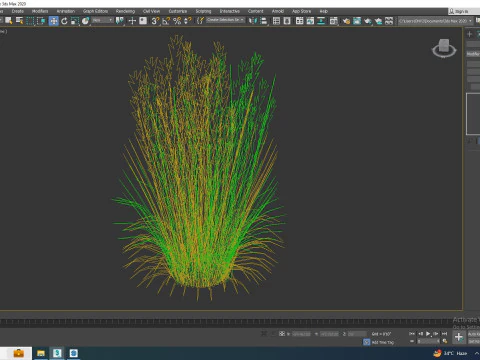 Calamagrostis-reed grass 3D Model
