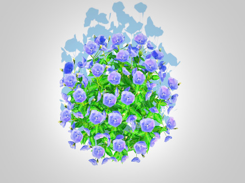 Campanula carpatica Carpathian Bellflower Blue Modelo 3D
