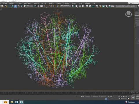 Campanula carpatica Carpathian Bellflower Blue 3D Model