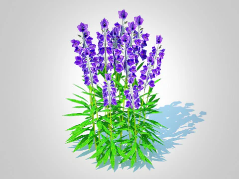 Campanula persicifolia Bunga lonceng berdaun persik Biru Model 3D