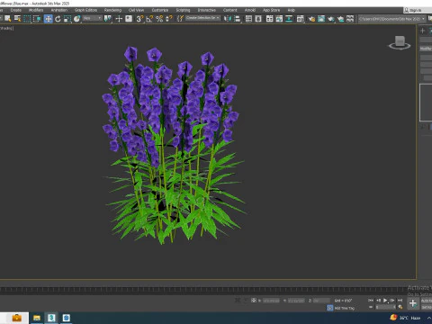 Campanula persicifolia Peach-leaved bellflower Blue 3D Model